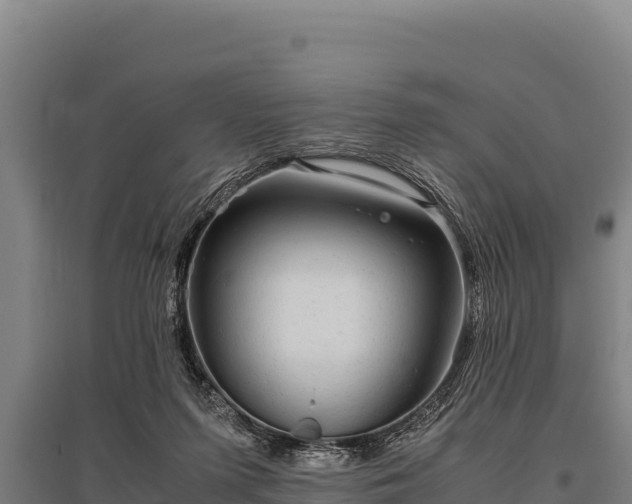 X0000095950215200801181429