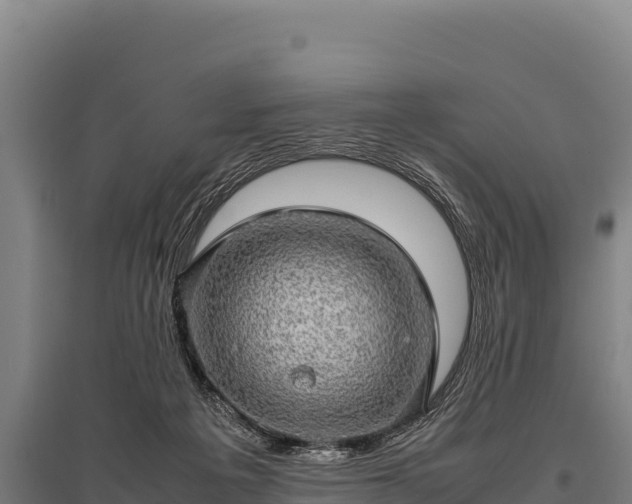 X0000095950217200801181429