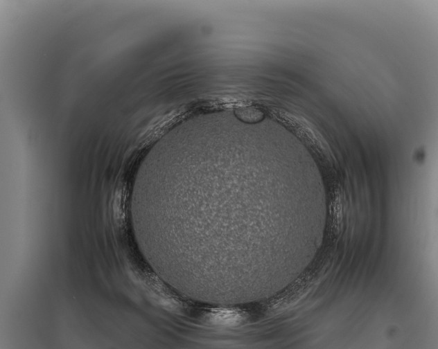 X0000095950218200801181429