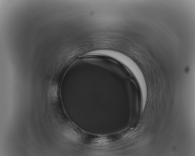 X0000095950219200801181429