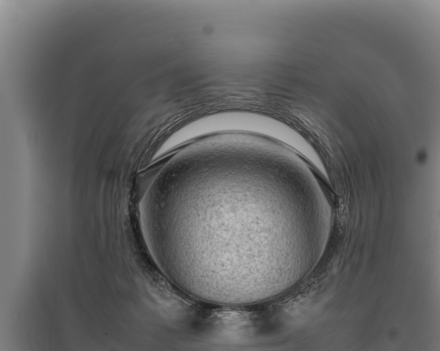 X0000095950221200801181429