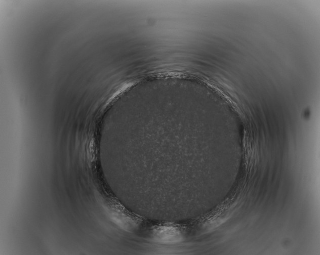 X0000095950224200801181429