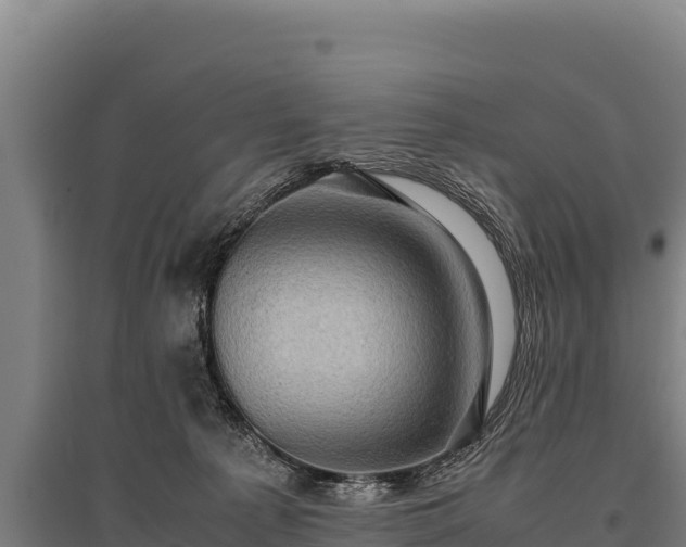 X0000095950225200801181429