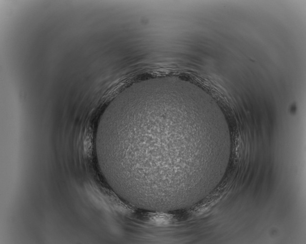 X0000095950226200801181429