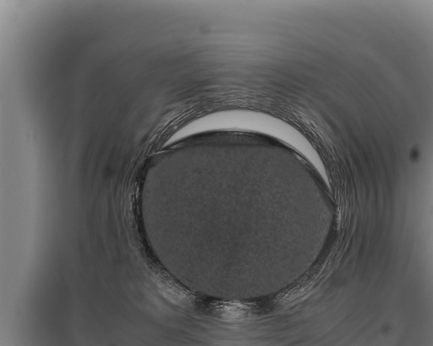 X0000095950229200801181429