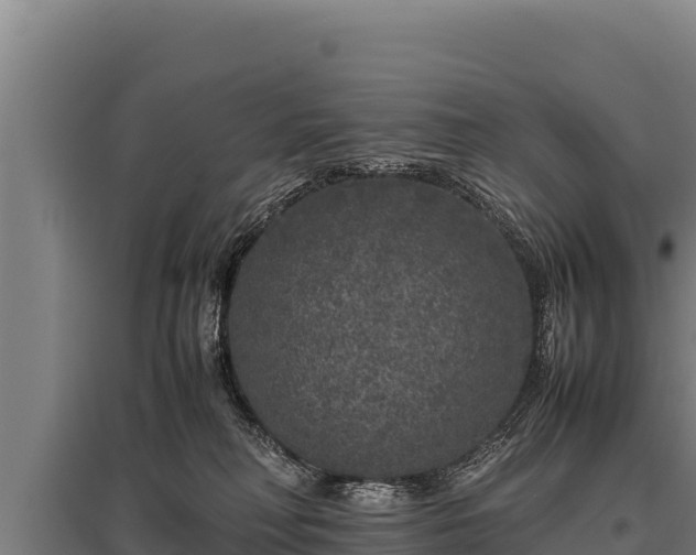 X0000095950230200801181429