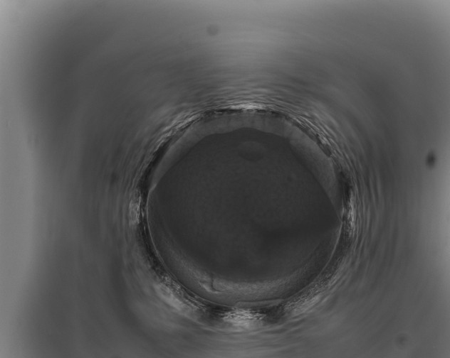 X0000095950231200801181429