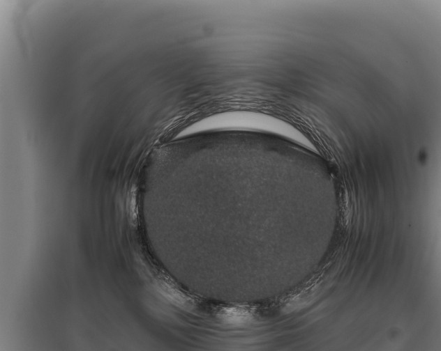 X0000095950232200801181429