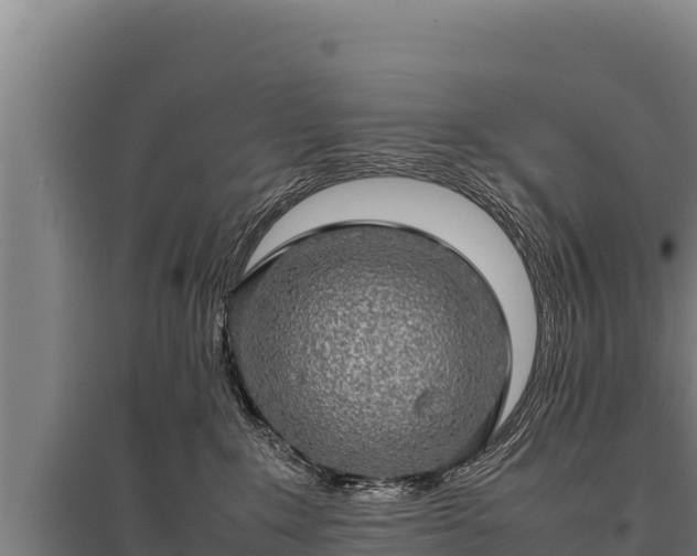 X0000095950235200801181429