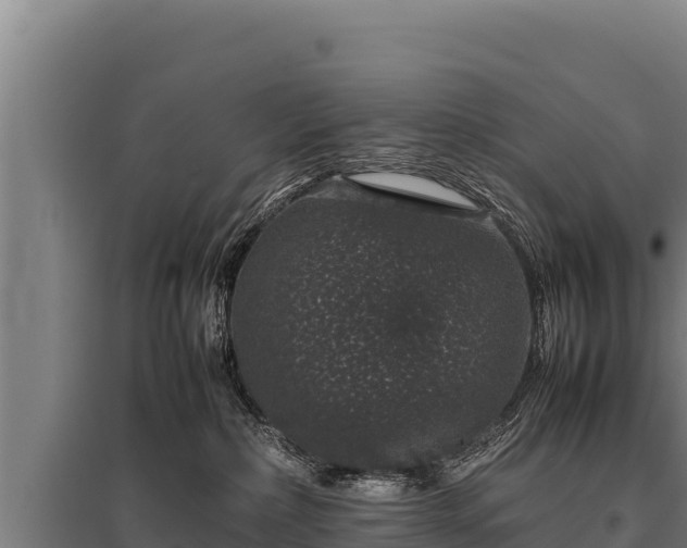 X0000095950236200801181429