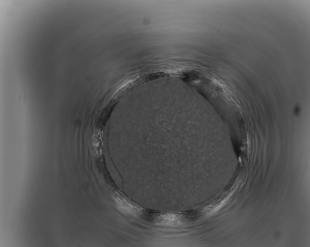 X0000095950237200801181429