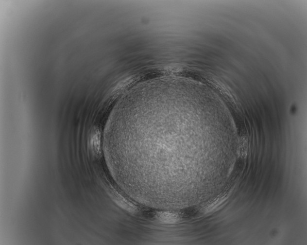 X0000095950238200801181429