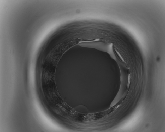 X0000095950239200801181429