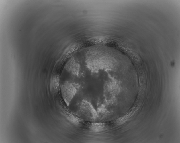 X0000095950240200801181429