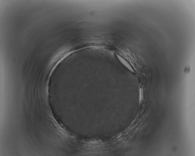 X0000095950243200801181428