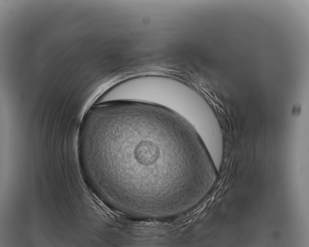 X0000095950244200801181428