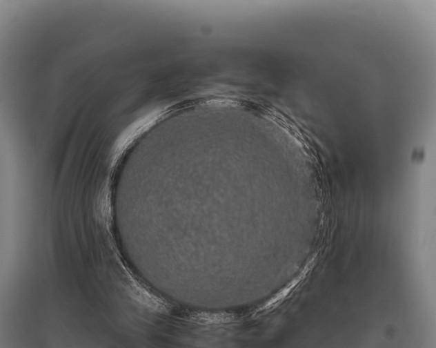 X0000095950245200801181428