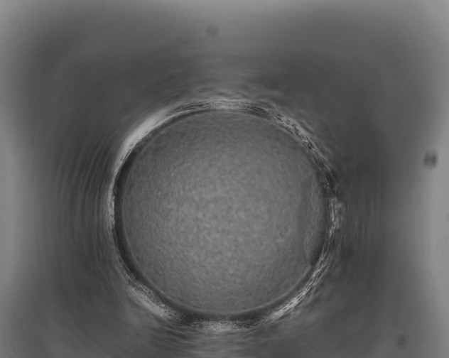 X0000095950246200801181428