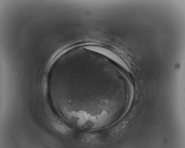 X0000095950247200801181428