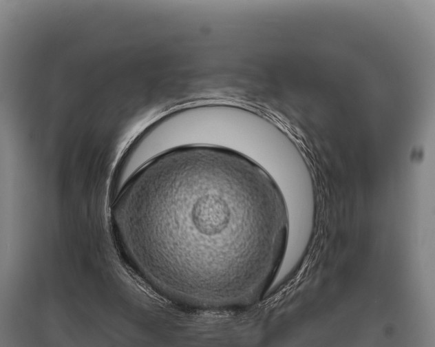 X0000095950248200801181428