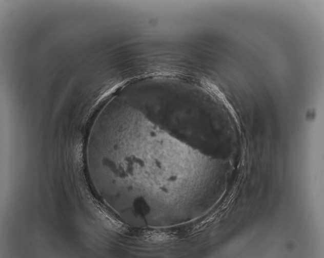 X0000095950249200801181428