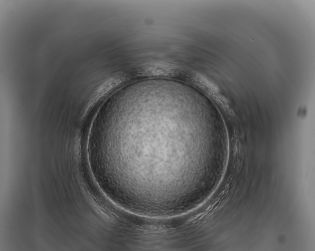 X0000095950250200801181428