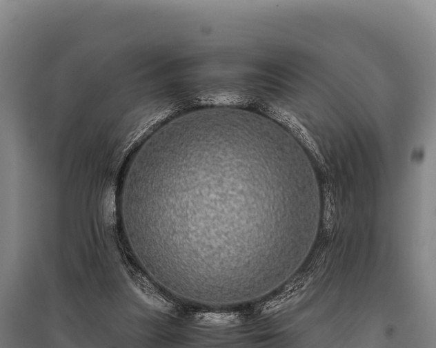 X0000095950251200801181428