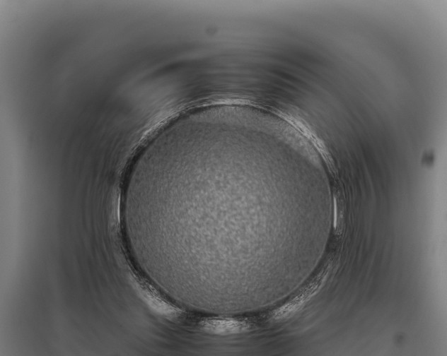 X0000095950253200801181428