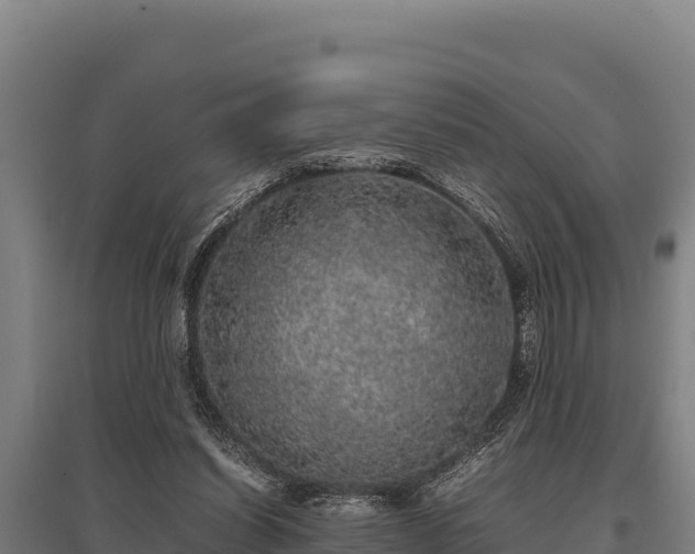 X0000095950254200801181428