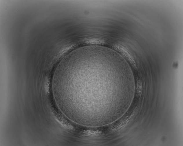 X0000095950255200801181428