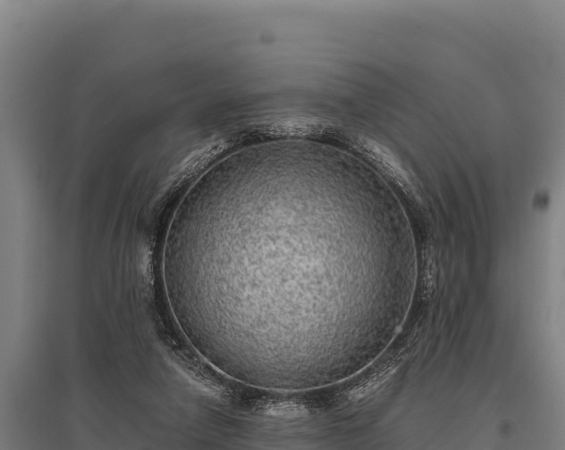 X0000095950258200801181429