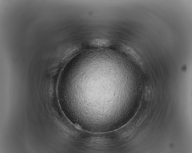 X0000095950259200801181429