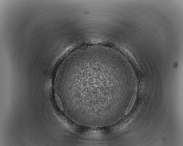 X0000095950260200801181429