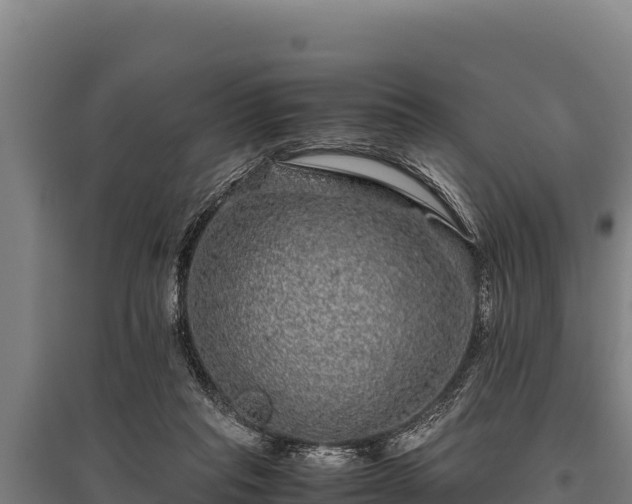 X0000095950261200801181429