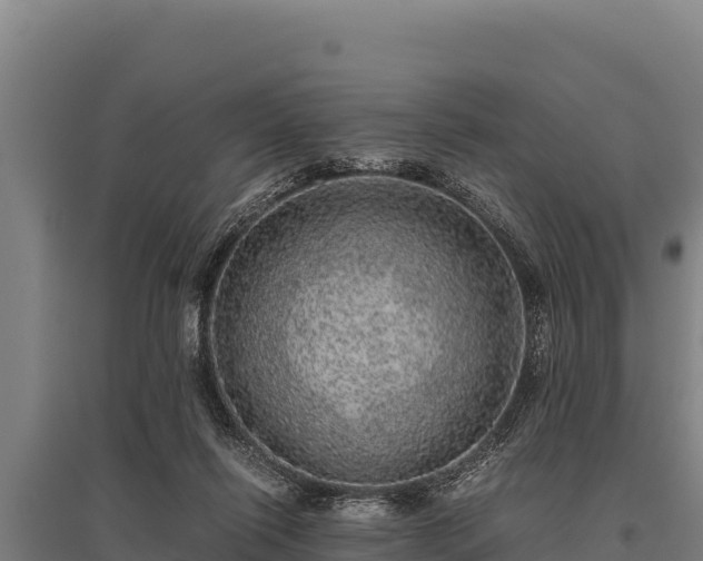 X0000095950262200801181429