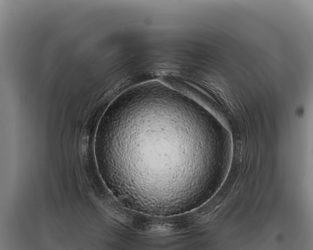 X0000095950263200801181429