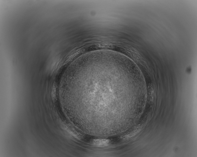 X0000095950266200801181429