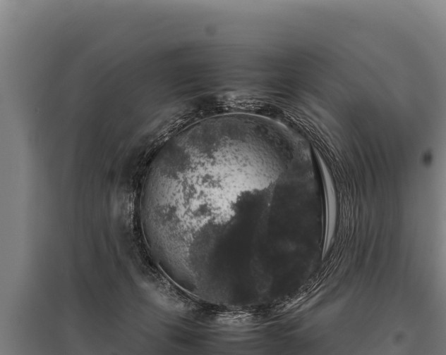 X0000095950271200801181429