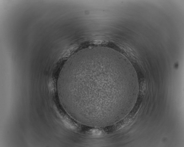 X0000095950272200801181429