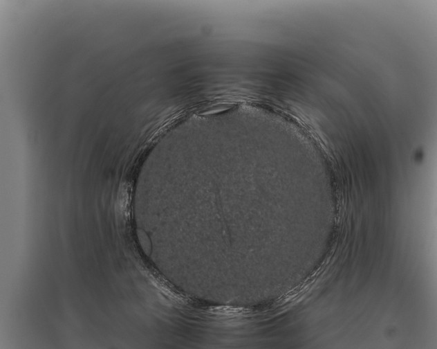 X0000095950273200801181429