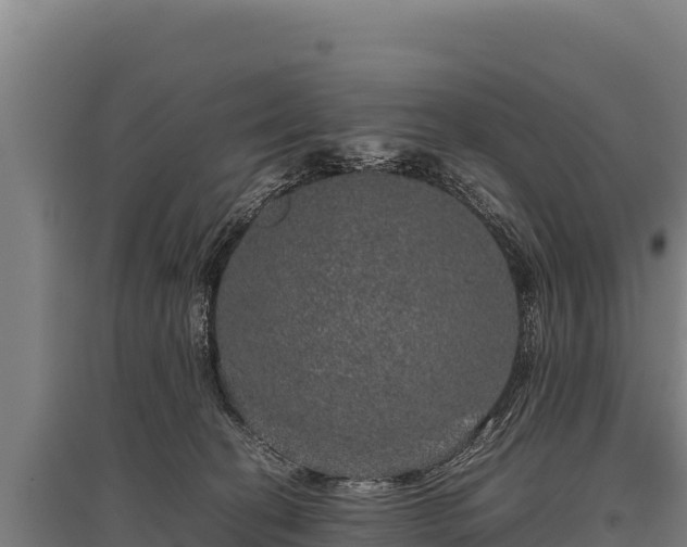 X0000095950274200801181429