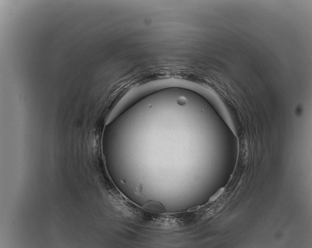 X0000095950276200801181429