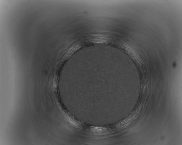 X0000095950277200801181429