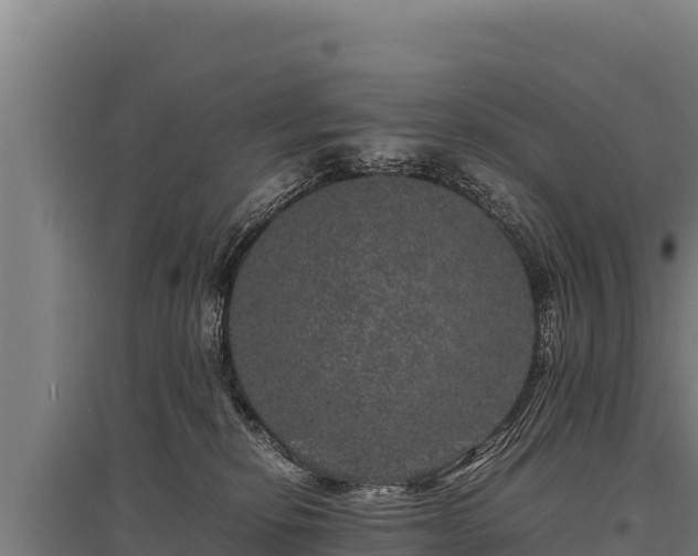 X0000095950278200801181429