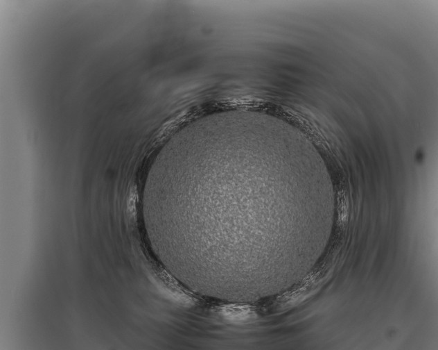 X0000095950279200801181429