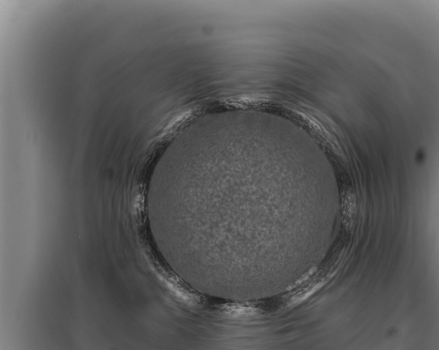 X0000095950284200801181429