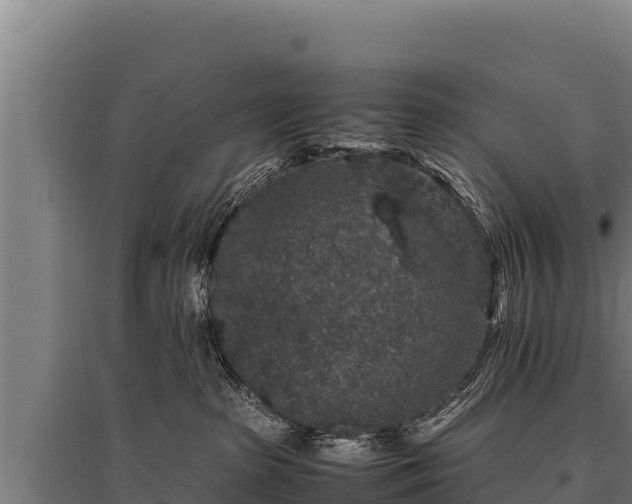 X0000095950285200801181429