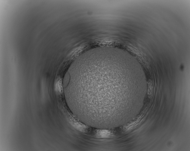 X0000095950287200801181429