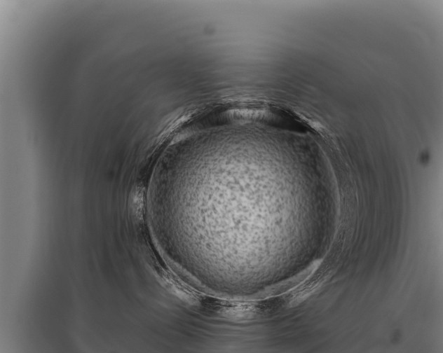 X0000095950288200801181429