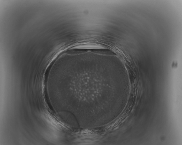 X0000095950290200801181428